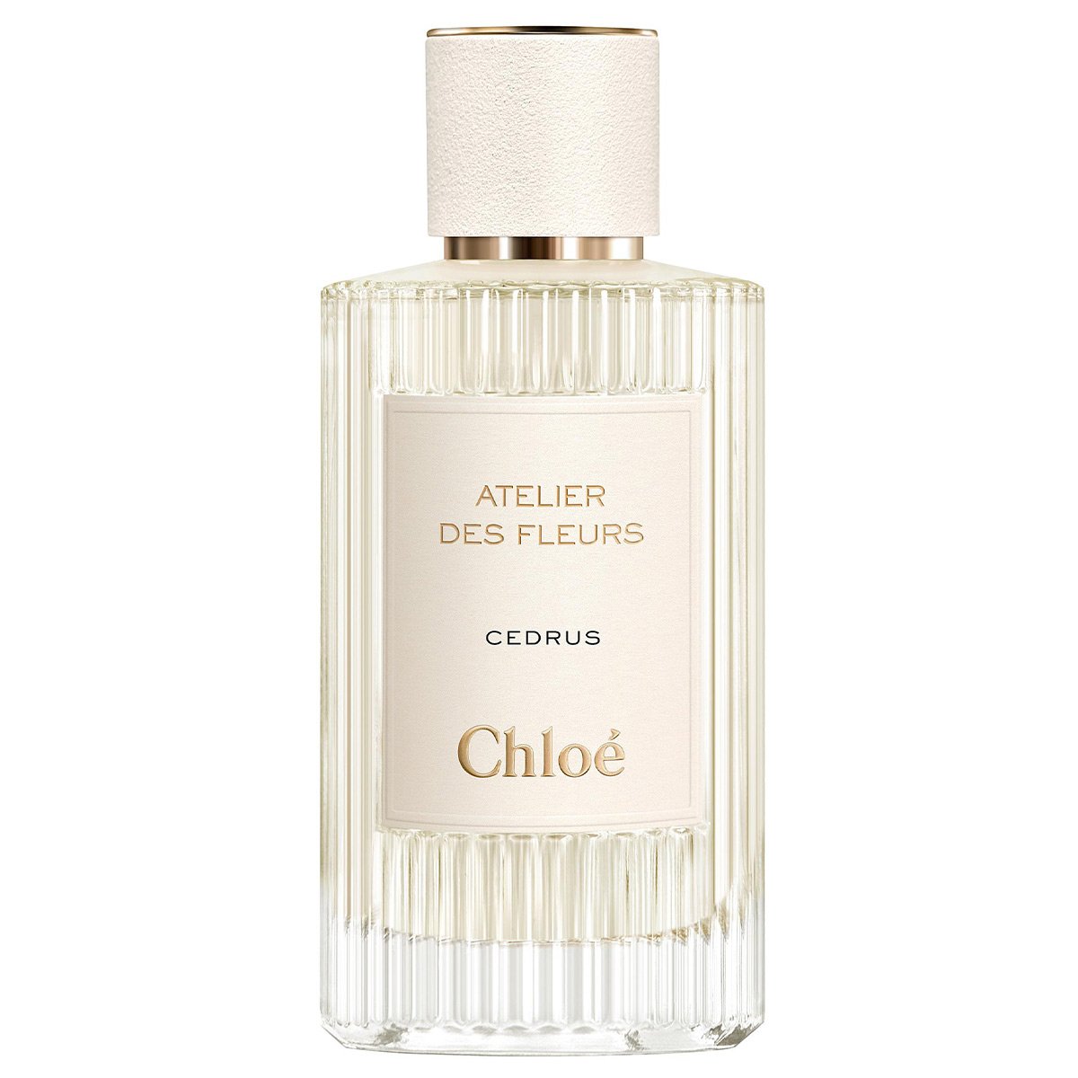 Chloe Atelier des Fleurs Cedrus