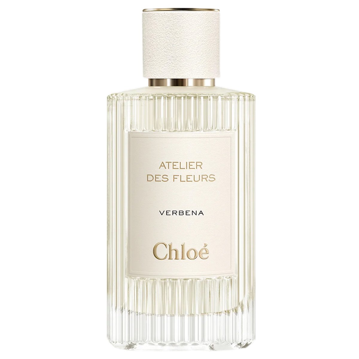 Chloe Atelier Des Fleurs Verbena