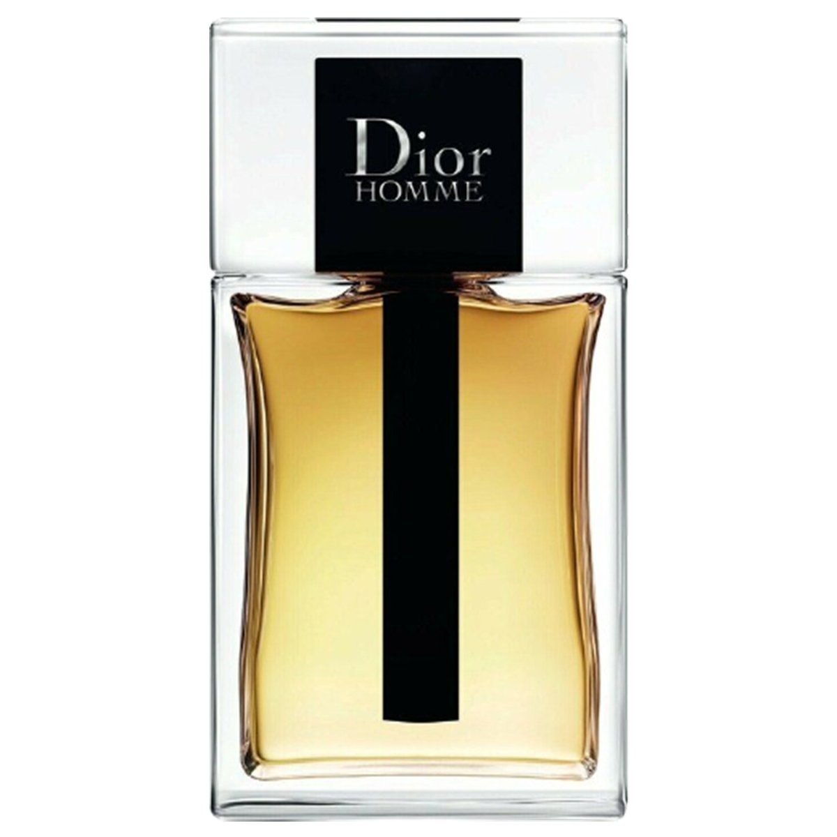 Dior Homme (2020)