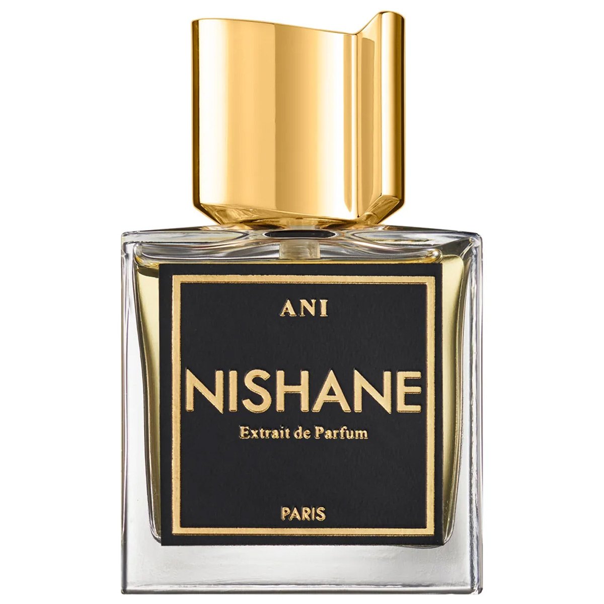 Nishane Ani